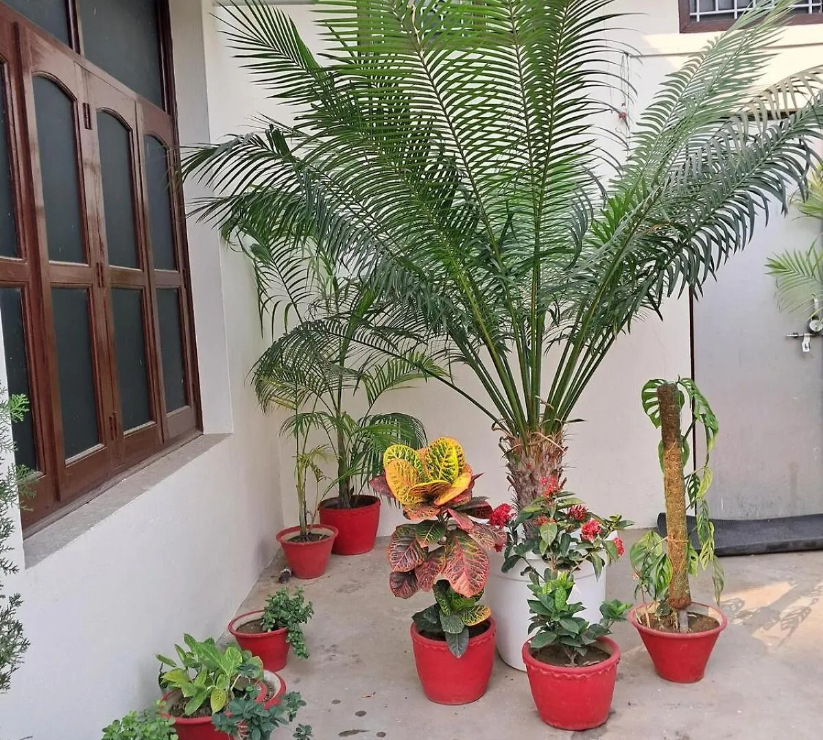 Sharda Home Stay Varanasi