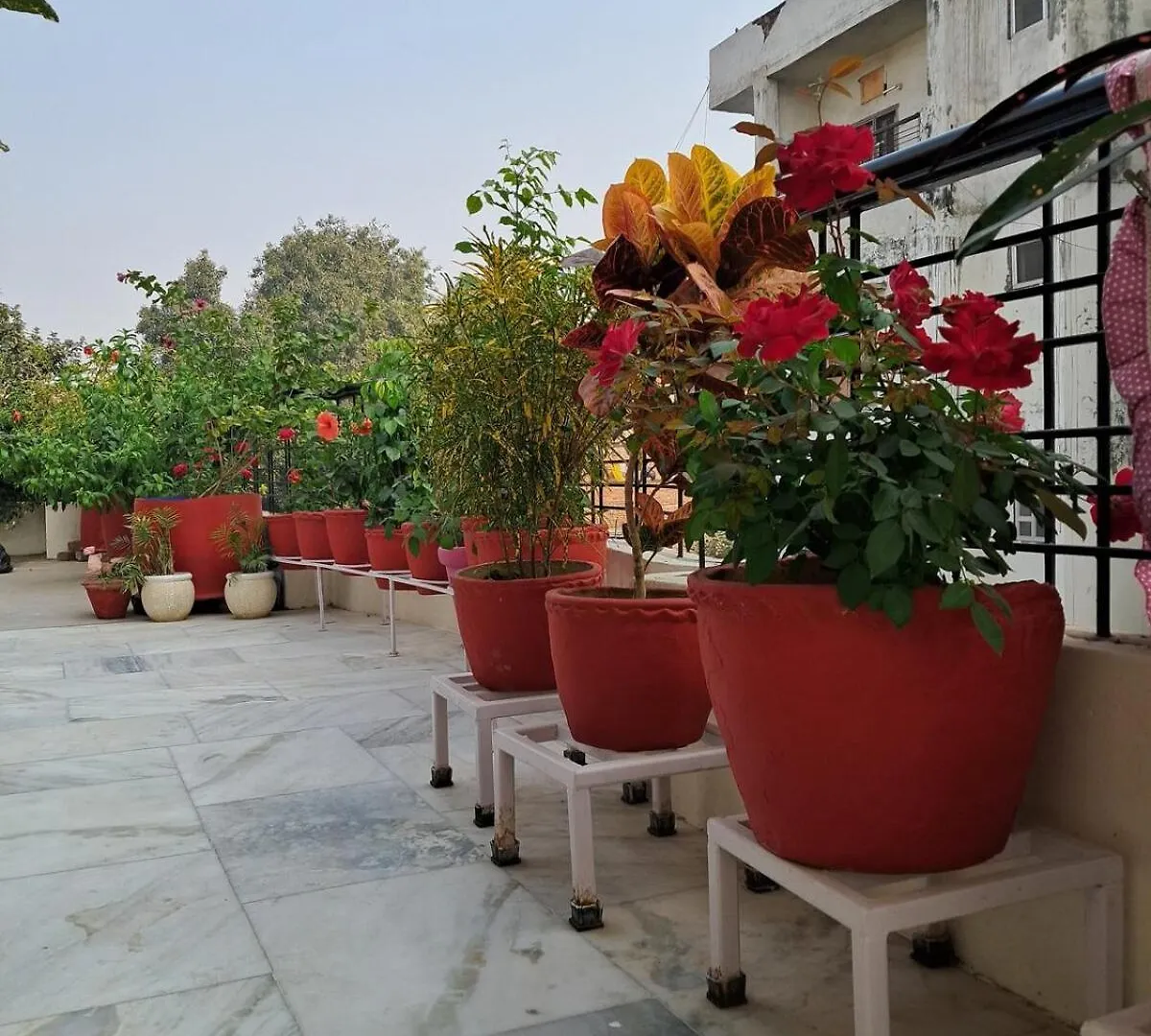 Sharda Home Stay Varanasi 0*,  India